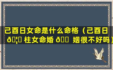 己酉日女命是什么命格（己酉日 🦁 柱女命婚 🐠 姻很不好吗）